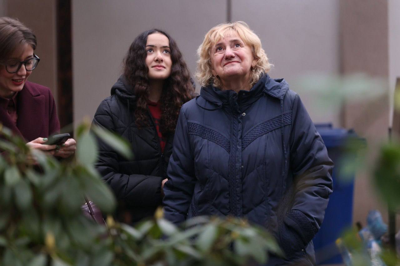 Во Львове устанавливают главную елку: кто ее подарил городу - фото 2