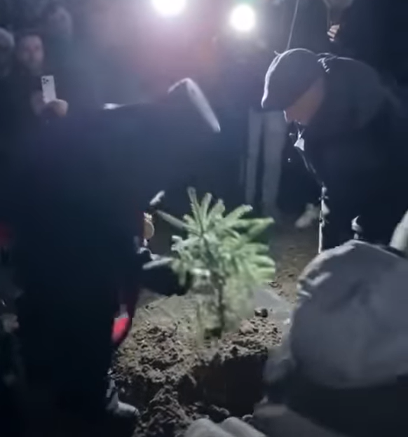 На могиле Степана Гиги посадили не молодую яворину (ВИДЕО) - фото 2