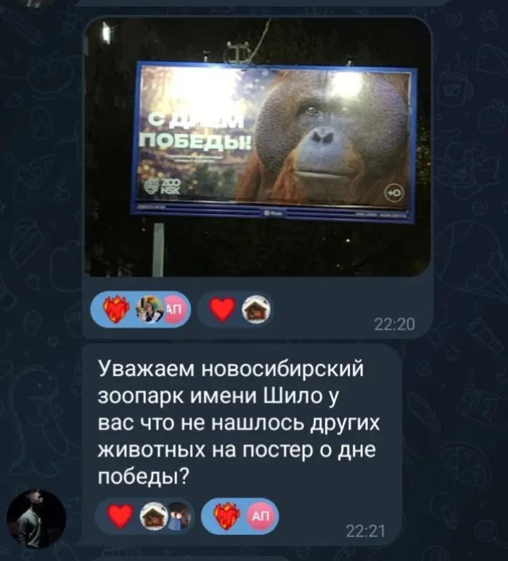 Вместо ветеранов - приматы: россиян «поздравили» с 9 мая странным баннером - фото 2