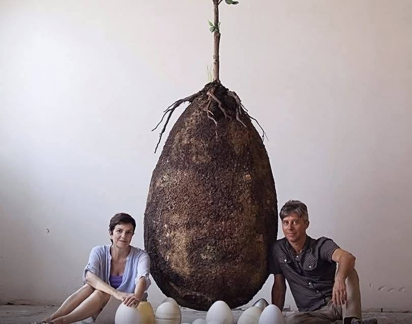 Дерево вместо памятника: как капсула Capsula Mundi дает шанс превратиться в сад после смерти - фото 2