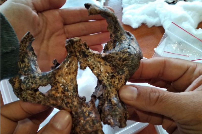 Ученые откопали  череп, которому 2 млн лет (Фото) - фото 2