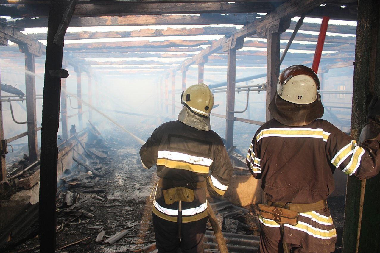 Пекин идет на жесткий карантин и масштабный пожар на хмельницкой ферме: новости, которые вы могли пропустить - фото 5