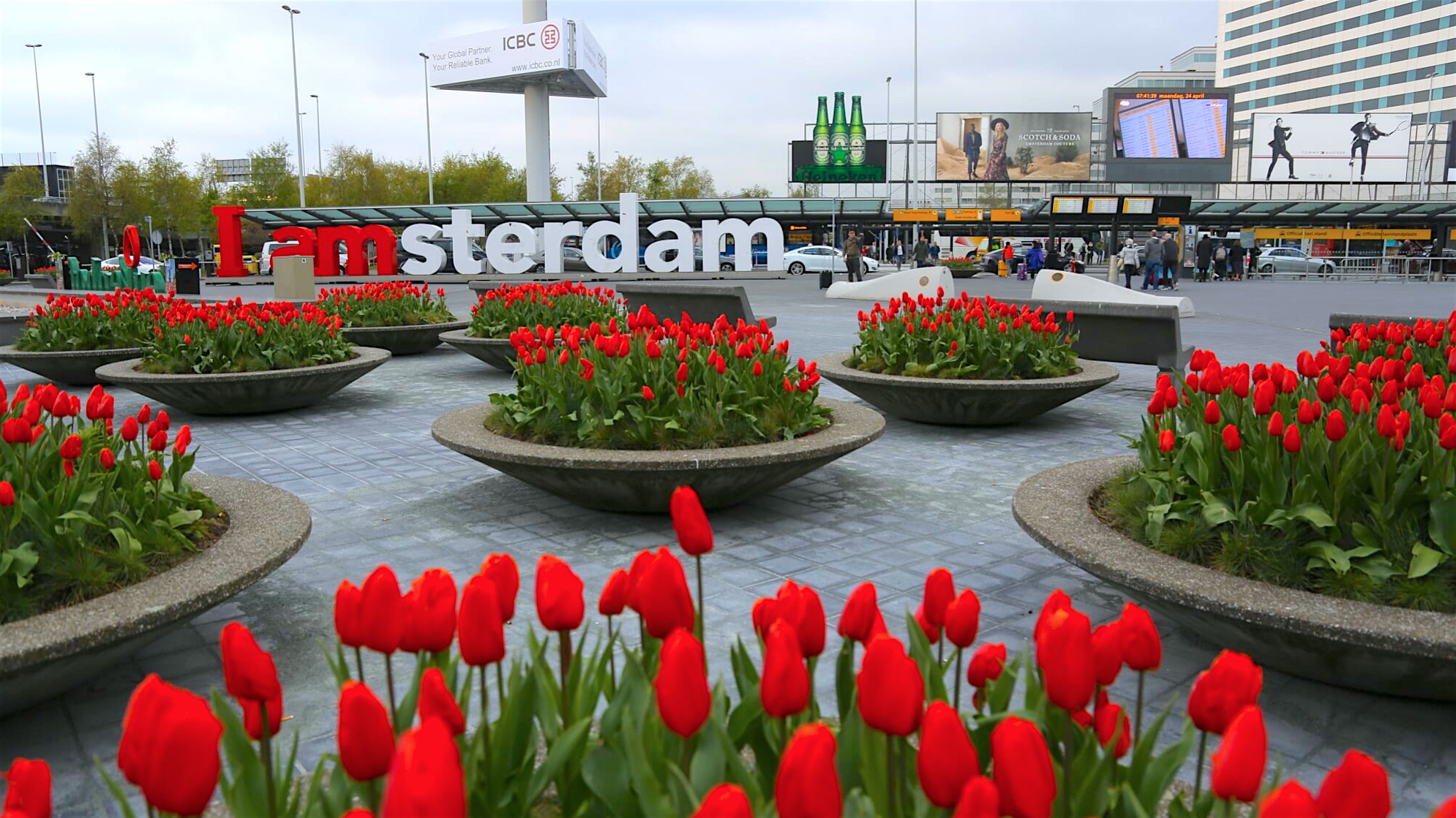 Путешествие в Амстердам: что интересного можно увидеть в городе - фото 4