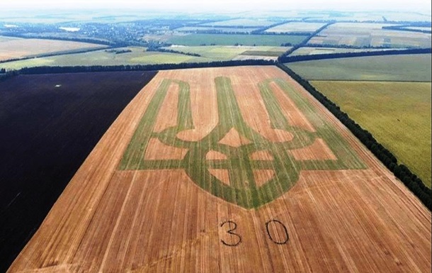 На Вінниччині фермери створили гігантський живий герб України: як він виглядає (ФОТО) - фото 2