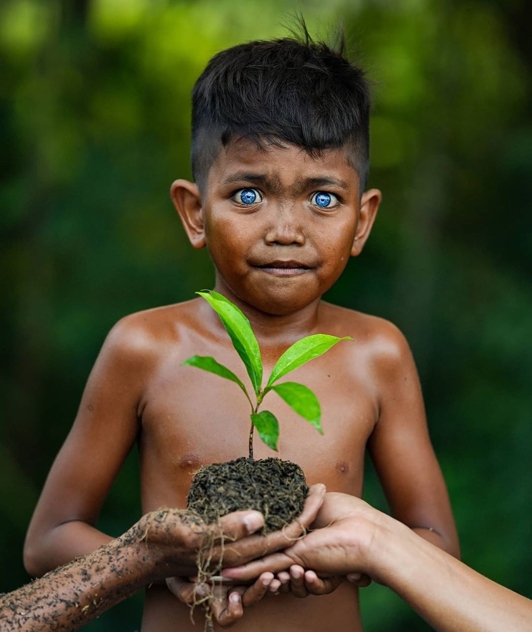 Это стоит увидеть: в Индонезии живет племя с аномально синими глазами - фото 3