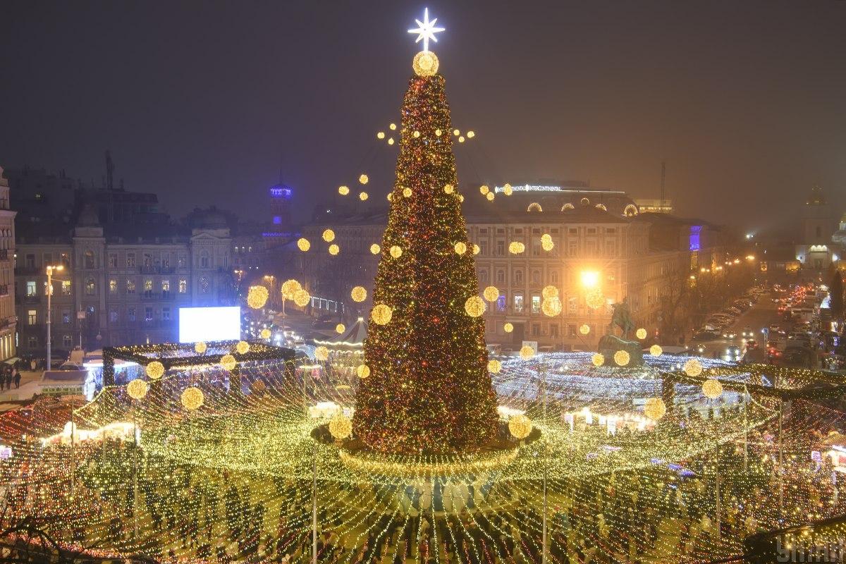 Найдорожчі та найдешевші: в українських містах підрахували вартість новорічних ялинок  - фото 6