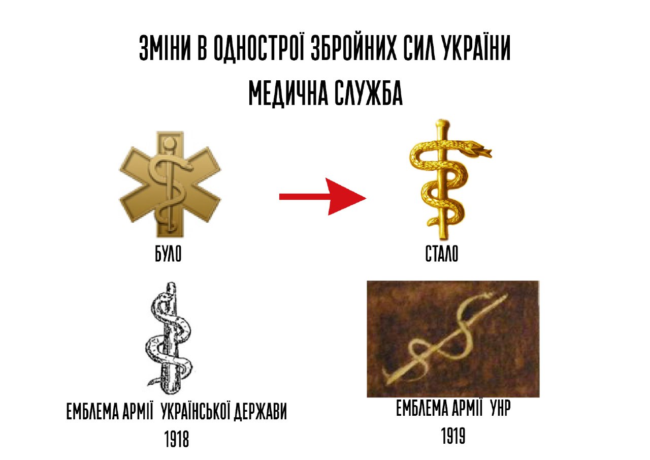 В украинской армии новые эмблемы и знаки: появились фото - фото 13