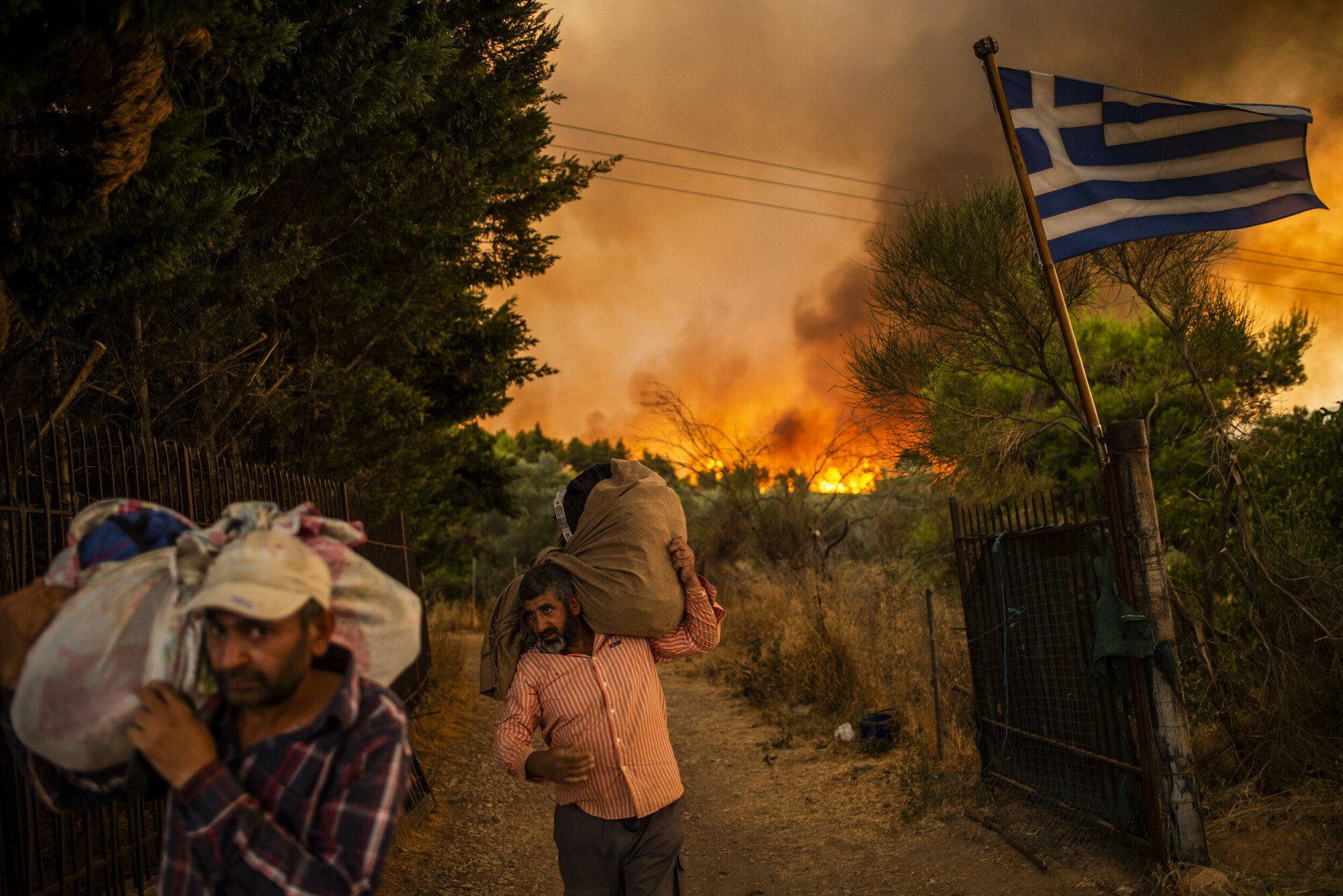 В Греции расследуют причины пожаров: скольких людей арестовала полиция - фото 2