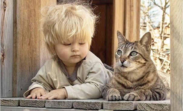 Двадцать фотографий, доказывающие, что ребёнку нужен кот - их очарование и теплота зашкаливает - фото 23