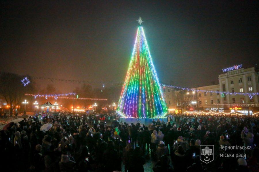Самые дорогие и дешевые: в украинских городах подсчитали стоимость новогодних елок - фото 2