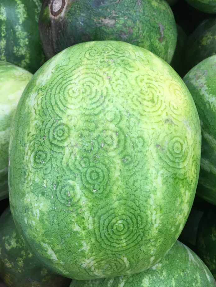 Людей по всьому світу налякали ”інопланетні” мітки на кавунах: що це таке (ФОТО) - фото 2