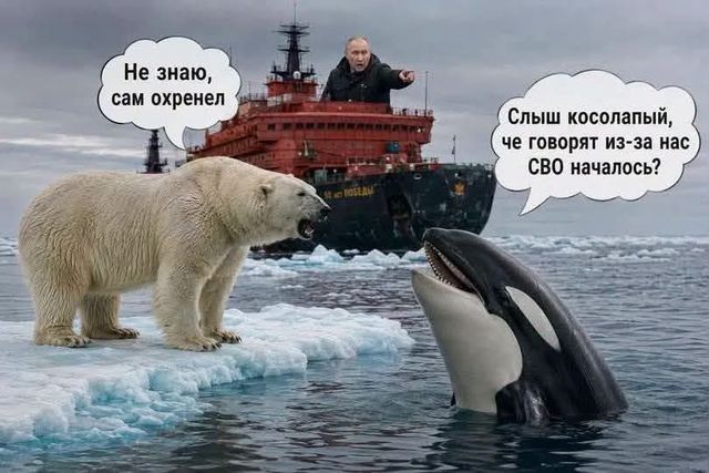 Жертва искусственного интеллекта: зачем Путин придумал басню о косатках, которые едят медведей - фото 2