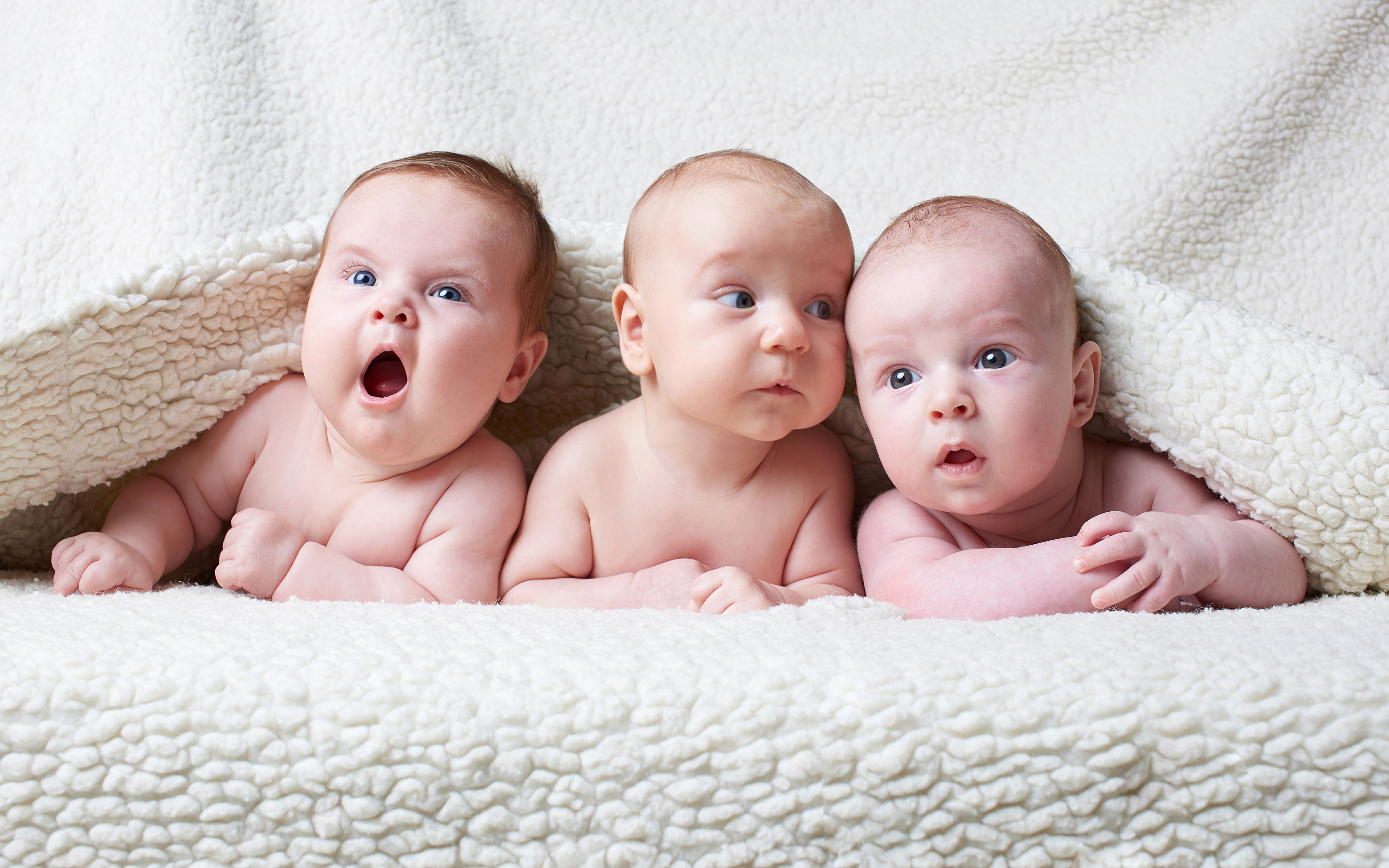 В июле 2015 родилось. Тройняшки малыши. Двойняшки и тройняшки. Много малышей. Три мальчика тройняшки.