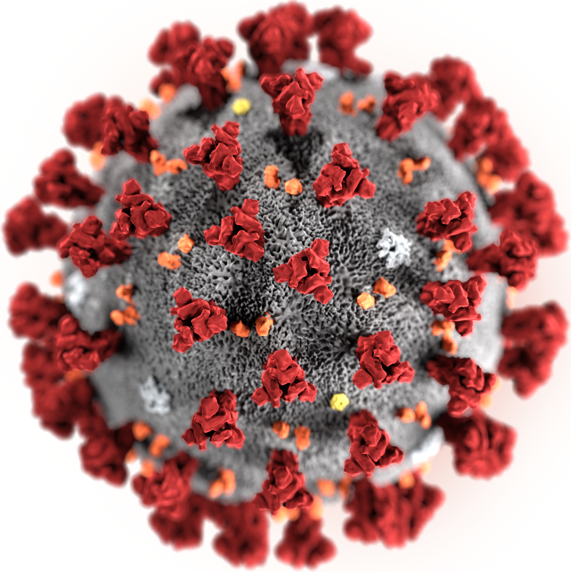 Розкрито слабкі місця коронавірусу - фото 2