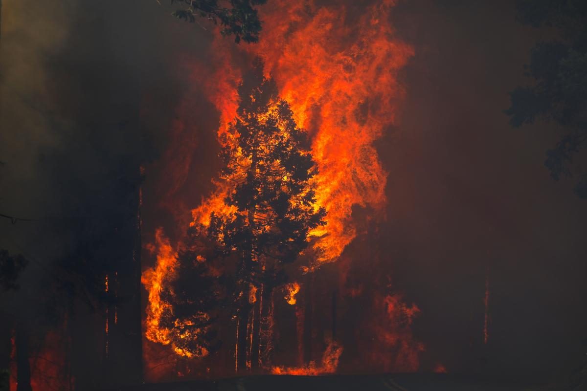 Лесные пожары в США: огонь стремительно приближается к Лос-Анджелесу (ФОТО) - фото 3