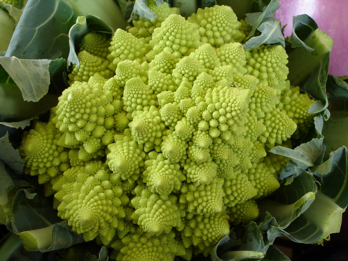 Пять овощей, которые выглядят, как находки из космоса - фото 3
