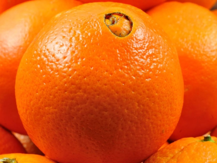 Как выбрать апельсины без косточек. Следует обратить внимание на одну деталь - фото 2