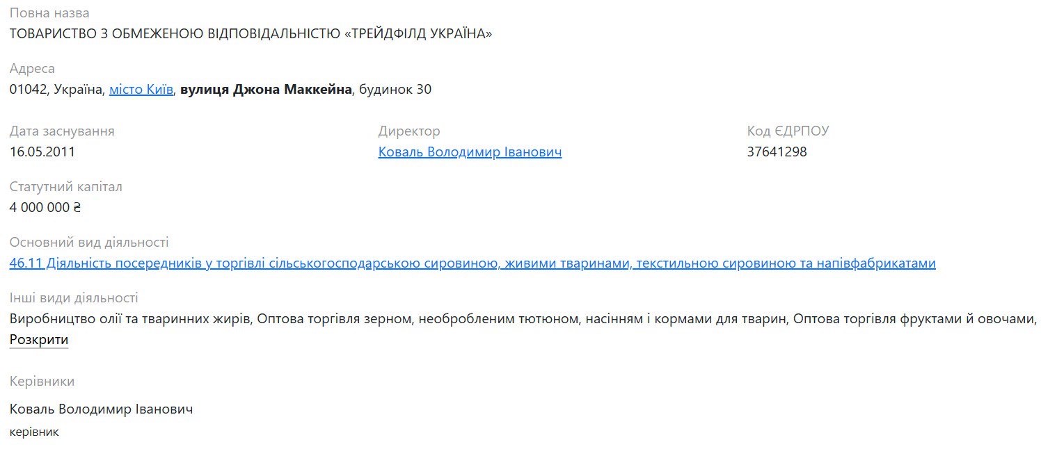 СМИ о нардепе Железняке: элитное имущество, вероятные связи с РФ и схемы с партийными средствами - фото 2