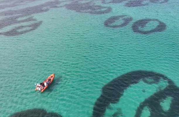 ”Чарівні кола” знову виявили у Шотландії через століття після їх зникнення (ФОТО) - фото 2