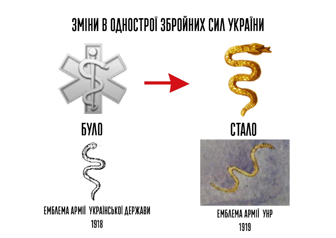 В українській армії нові емблеми та знаки: з’явилися фото - фото 12