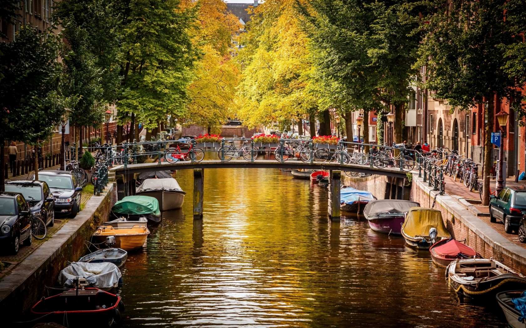 Подорож до Амстердаму: що цікавого можна побачити у місті - фото 2