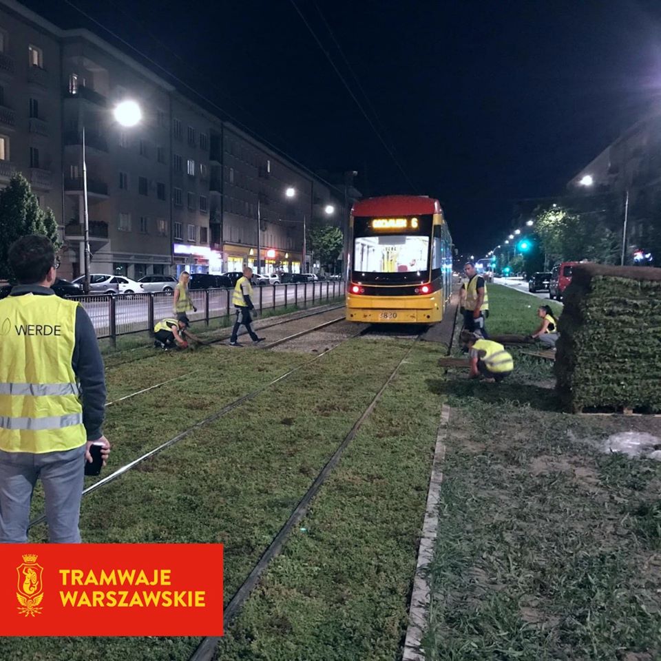 ФОТОФАКТ: в Польше зазеленели трамвайные пути - фото 5