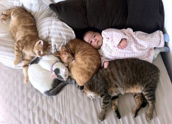 Двадцать фотографий, доказывающие, что ребёнку нужен кот - их очарование и теплота зашкаливает - фото 21