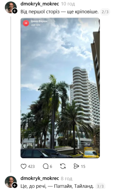 Номер Ирины Фарион ”ожил” в Telegram: появилось неожиданное фото из Таиланда - фото 2