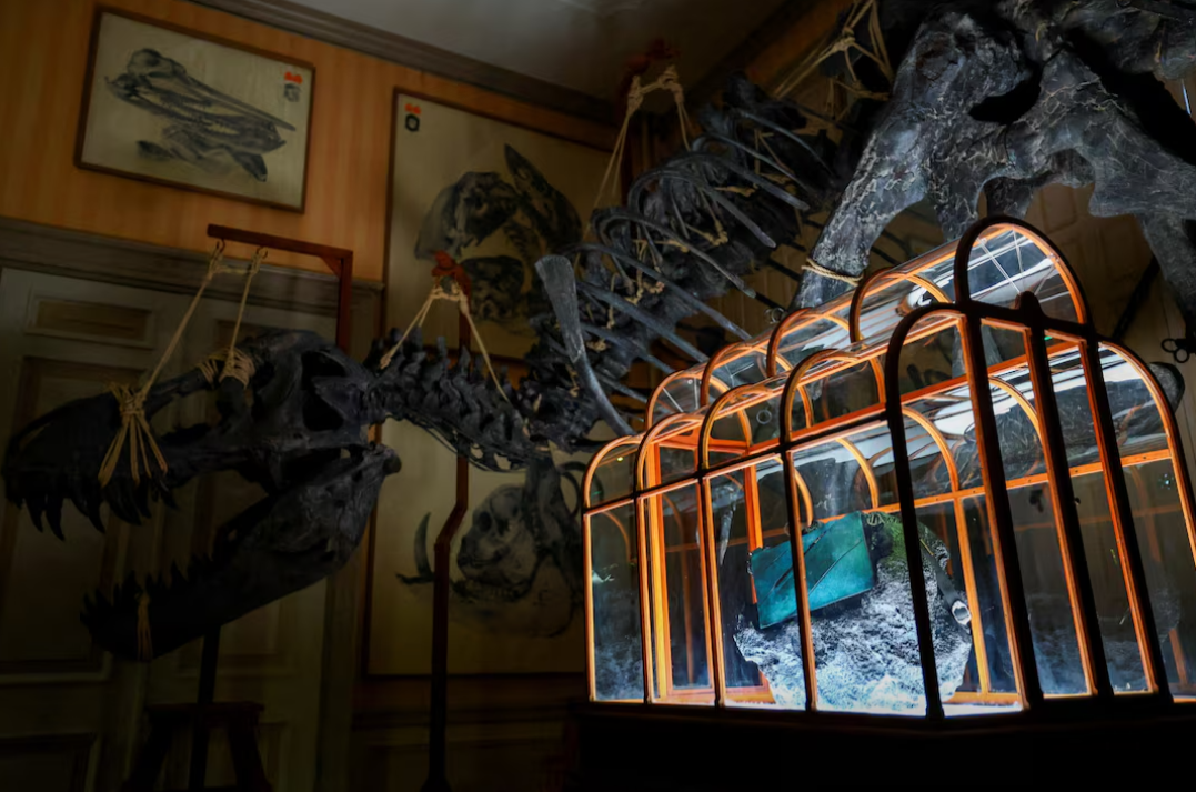 Ученые создали первую в истории сумку из ”кожи” тираннозавра: как выглядит (ФОТО) - фото 2 Ученые создали первую в истории сумку из ”кожи” тираннозавра: как выглядит (ФОТО) - фото 2