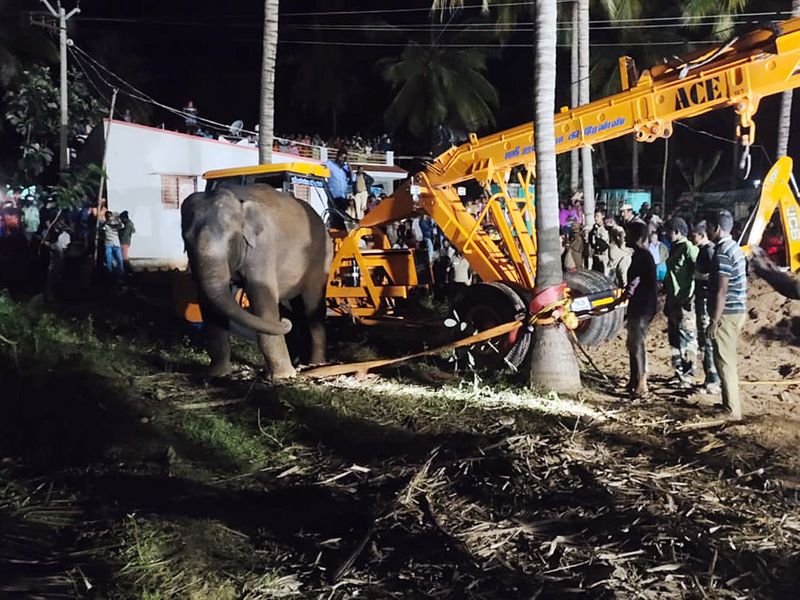 В Індії врятували слоненя, яке впало в глибокий колодязь (фото) - фото 7