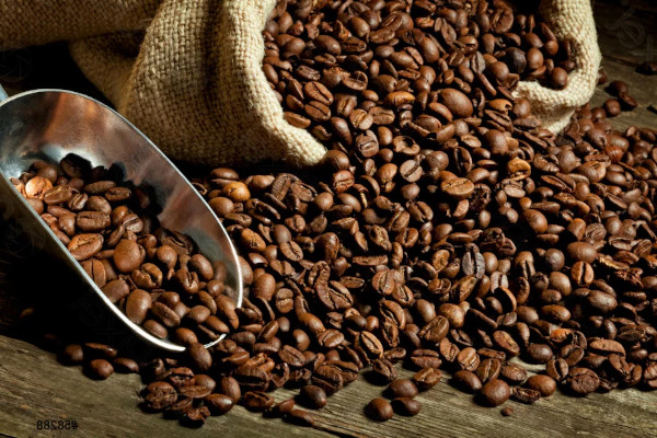 Как выбрать кофе в зернах: ТОП кофе в Украине
