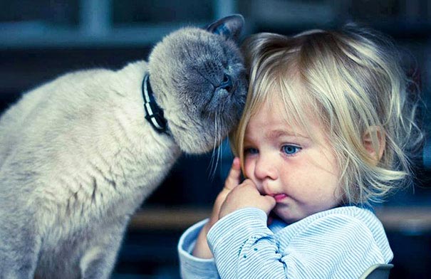 Двадцать фотографий, доказывающие, что ребёнку нужен кот - их очарование и теплота зашкаливает - фото 5