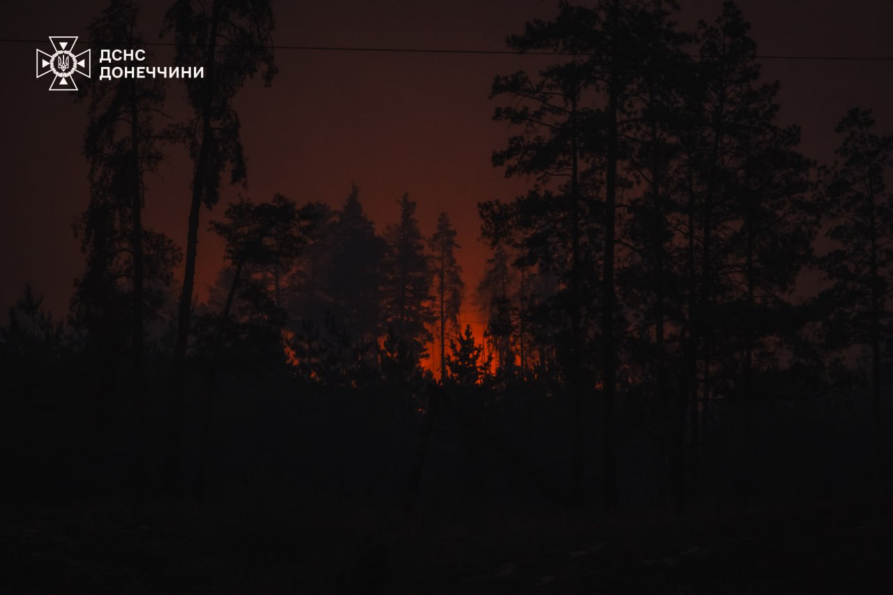 Горить понад 240 гектарів лісу: страшна пожежа накрила Донеччину (ВІДЕО) - фото 3