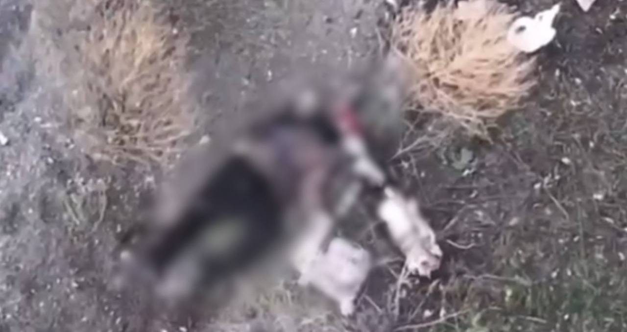 Трагедия на Харьковщине: оккупанты убили двух человек, поднявших белый флаг - фото 2