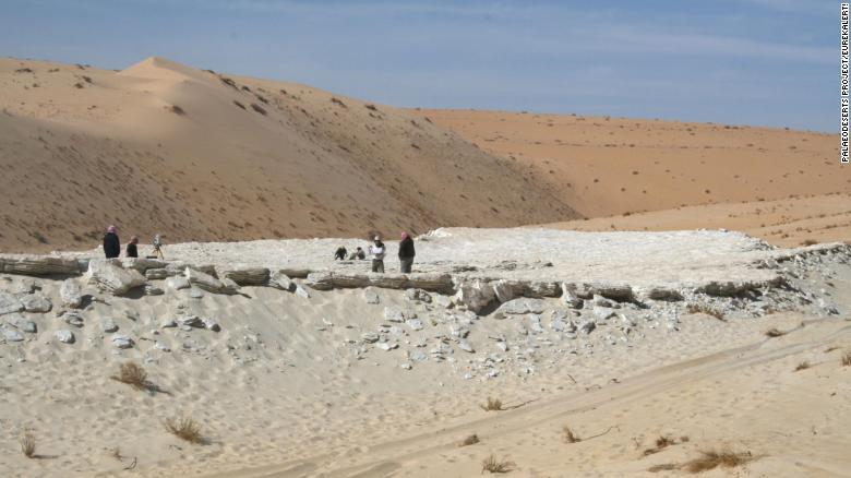 У Саудівській Аравії знайшли сліди віком в 120 тисяч років: дослідники розповіли, кому вони належать - фото 4