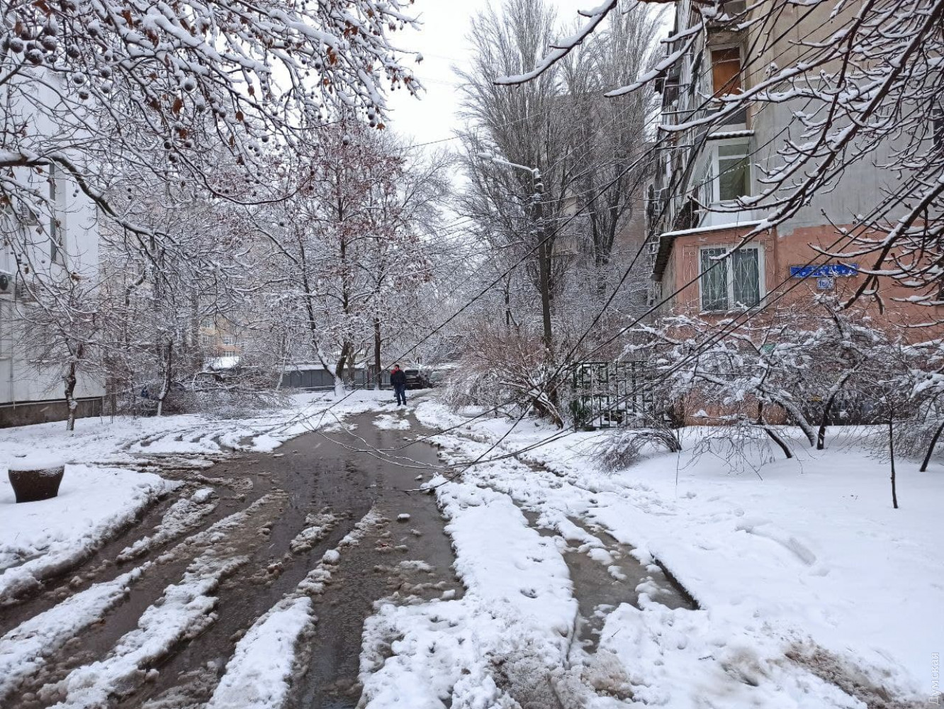 Цілодобові снігопади в Одесі: як місто справляється з негодою (ФОТО, ВІДЕО) - фото 10