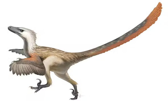 Наука разрушила эти 7 мифов о динозаврах, но люди до сих пор в них верят - фото 2