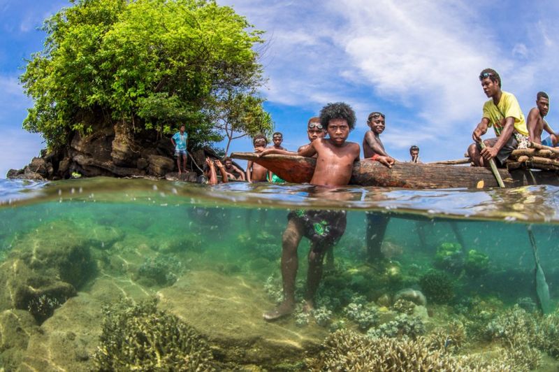 Уникальные снимки: фотографы показали, как выглядят мангровые леса - фото 4