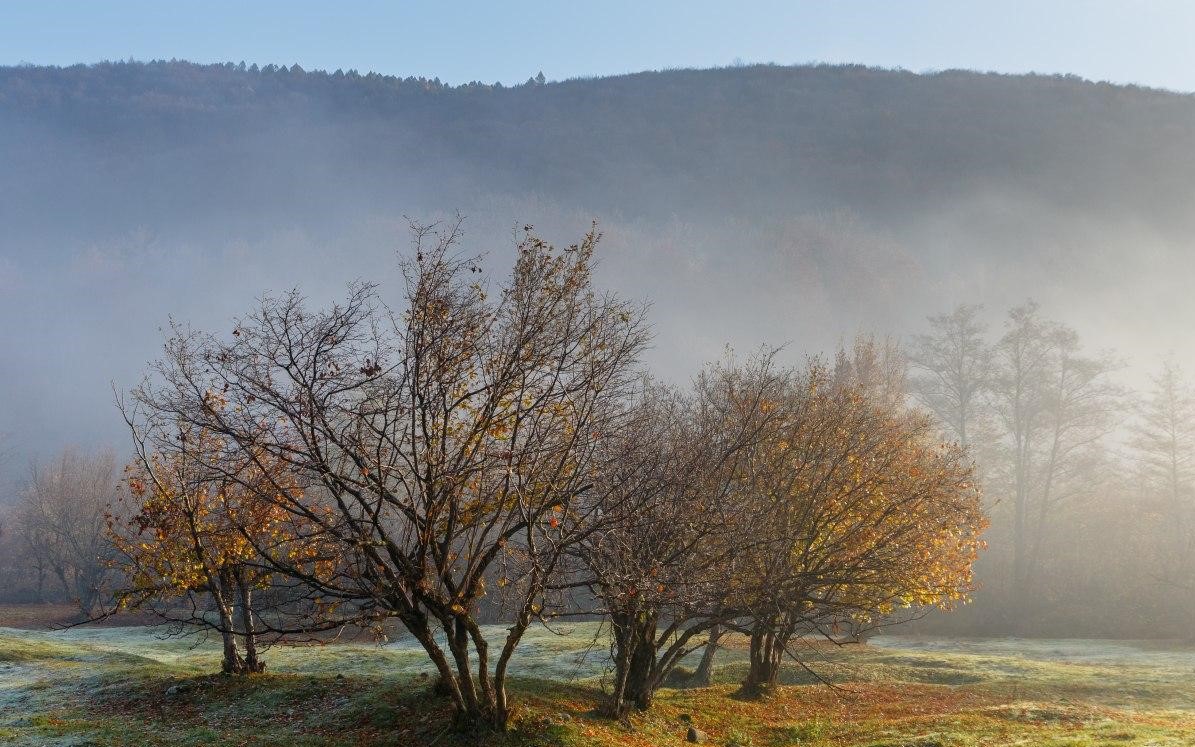 Украинский фотограф показал красоту Карпат осенью (фото) - фото 3
