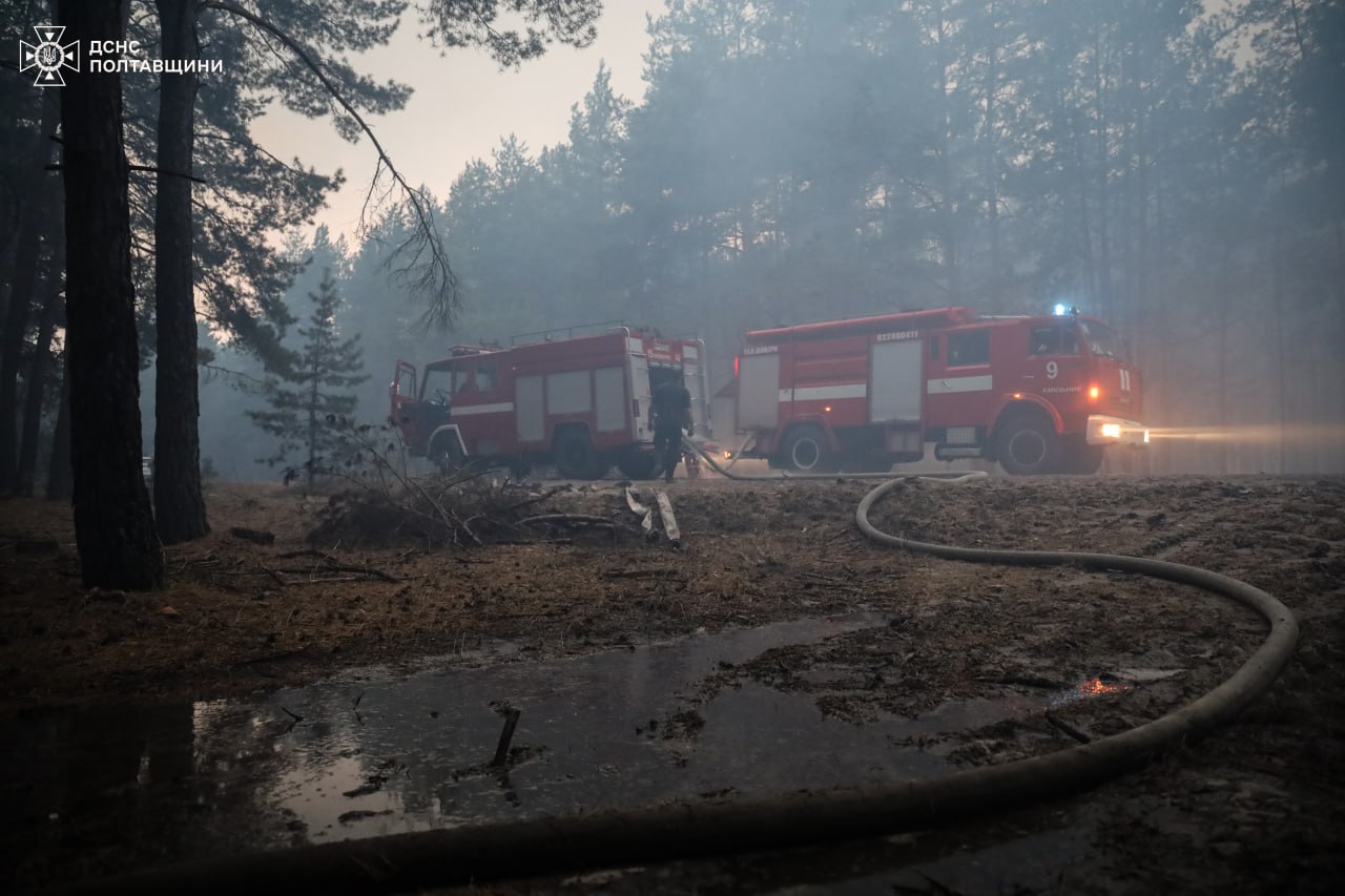 Понад 1000 гектарів лісу горить у двох областях: почалася евакуація - фото 4