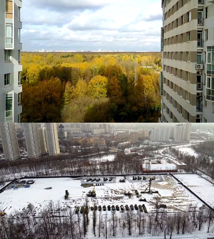 Чи врятує Кремль вирубка лісу в Москві - фото 3