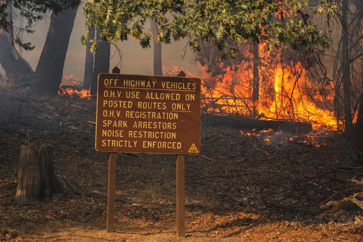 Лесные пожары в США: огонь стремительно приближается к Лос-Анджелесу (ФОТО) - фото 5