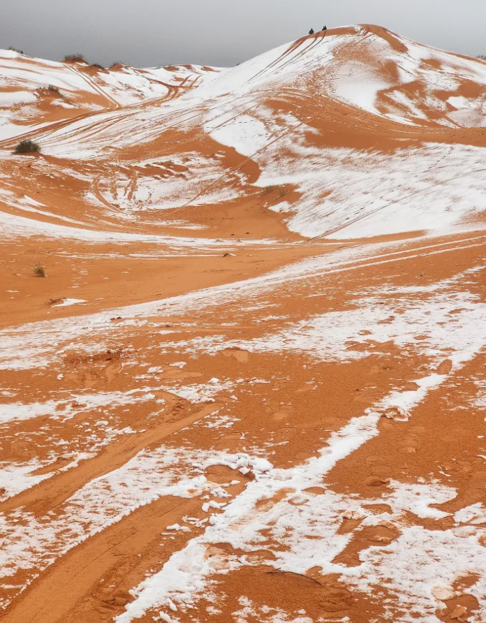 В пустыне Сахара выпал снег: редкие фото заснеженных песчаных дюн - фото 2