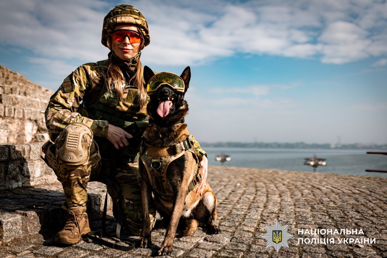Пес Патрон не один: еще почти 900 четырехлапых ежедневно спасают жизнь украинцев - фото 2