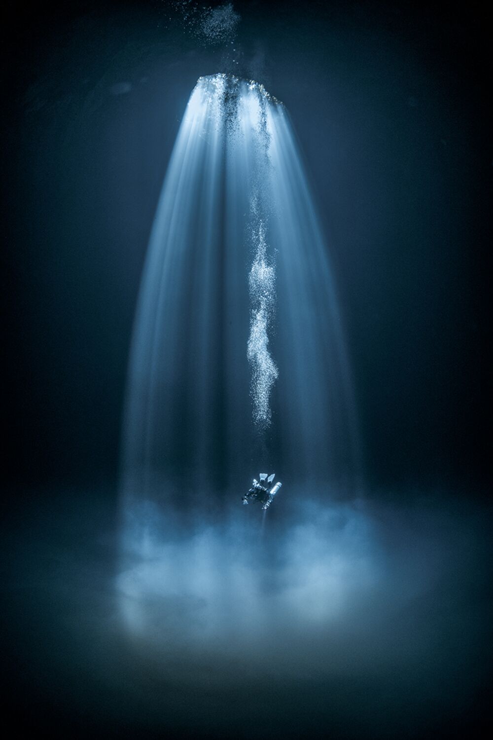 Названы лучшие подводные снимки 2020 года - фото 3