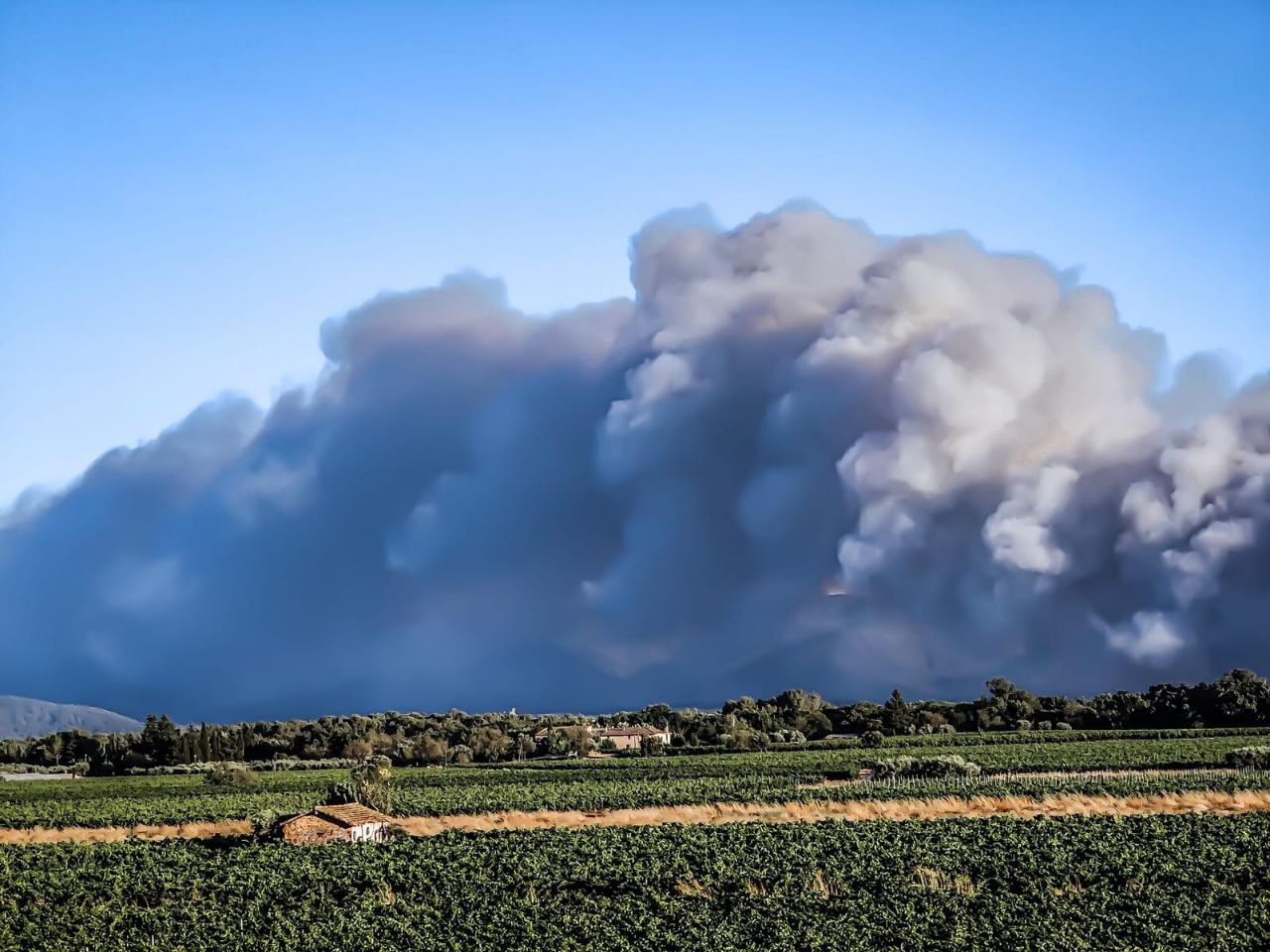 Во Франции вспыхнули леса: что известно о пожаре - фото 2