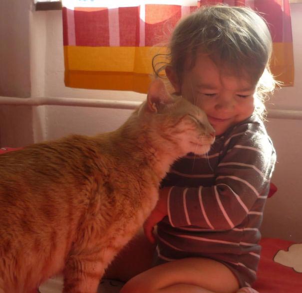 Двадцать фотографий, доказывающие, что ребёнку нужен кот - их очарование и теплота зашкаливает - фото 9