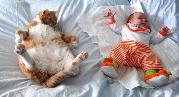 Двадцать фотографий, доказывающие, что ребёнку нужен кот - их очарование и теплота зашкаливает - фото 11