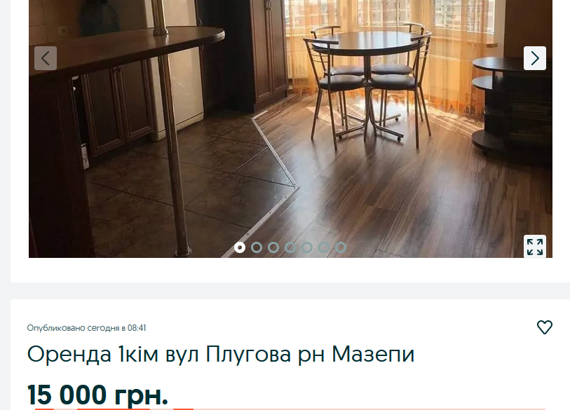 Сколько в апреле стоит аренда жилья на западе Украины и как выглядят самые дорогие варианты - фото 10