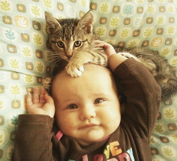 Двадцять фотографій, які доводять, що дитині потрібен кіт - їх чарівність і теплота зашкалює - фото 13